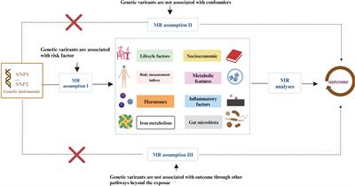 Causal relationships between modifiable risk factors and polycystic ovary syndrome: a comprehensive Mendelian randomization study